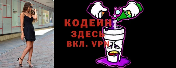 шишки Коряжма