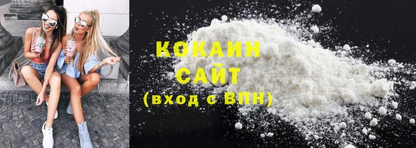 шишки Козловка