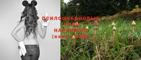мдма Козельск
